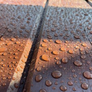 muchas-gotas-agua-arbol-oscuro